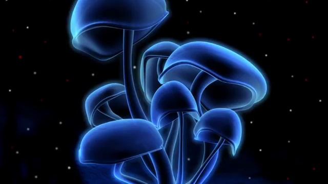 Infected Mushroom Muse Breaks