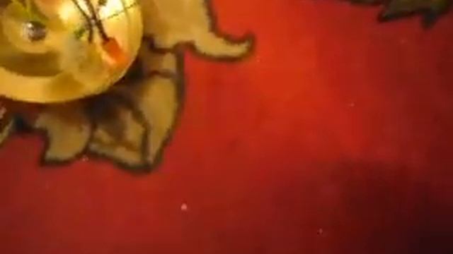 Замена провода у светильника смотреть онлайн