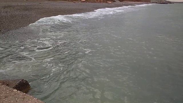 Прикольное видео: Утки ловят рыбу в море!
