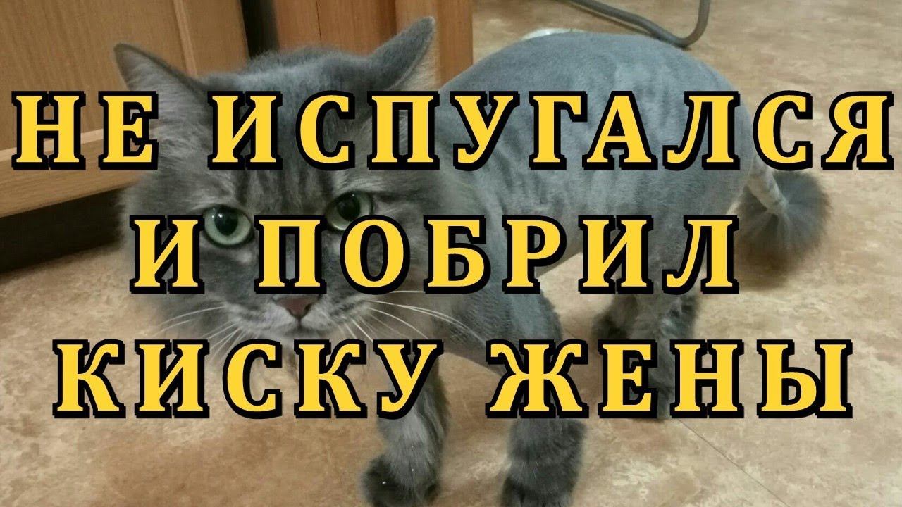 ДНЕВНИК ГРУЗЧИКА (Серия 29): ПАРК ЧУДЕС ГАЛИЛЕО и РОЗЫГРЫШ ВЕЛОСИПЕДА в СПОРТЦЕХе. смотреть онлайн