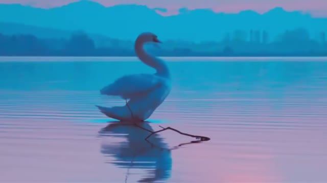 Музыка из передачи "В мире животных" оркестра Поля Мориа на... гуслях ? Вспомним детство! смотреть онлайн