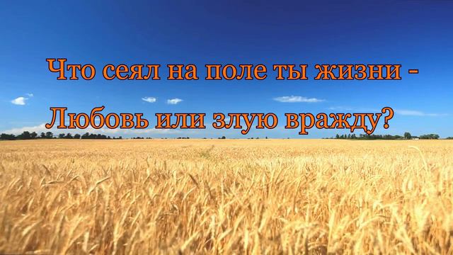 Сей доброе семя всегда! Караоке. Пройдакова Ирина смотреть онлайн