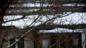 Зима и левенгук карма про 8х42.