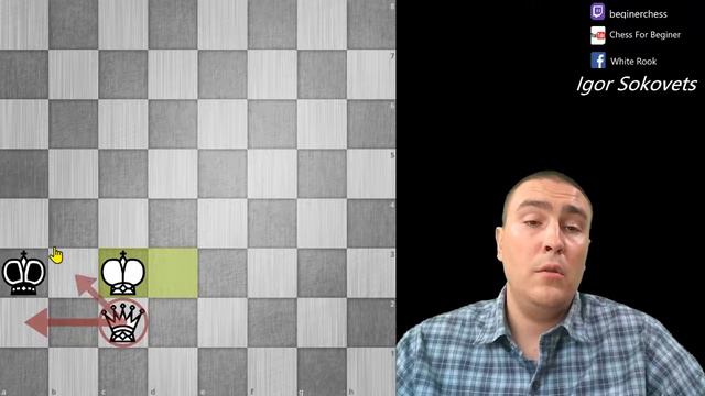 Learn to Play Chess | Chess for Beginners | King and Queen\lonely King | White Rook | Igor Sokovets смотреть онлайн