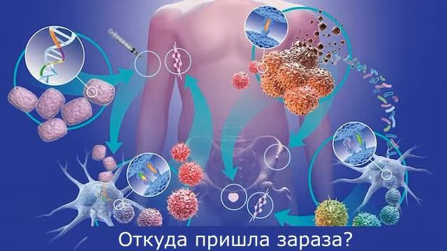 Откуда пришла зараза. Исследования по инфекциям. смотреть онлайн