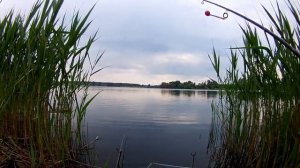 Карась на пробку
