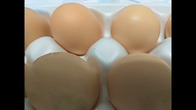 / Часть 1 / Почему у нас куры зимой несут яйцо и что мы для этого делаем? Видео для начинающих. смотреть онлайн