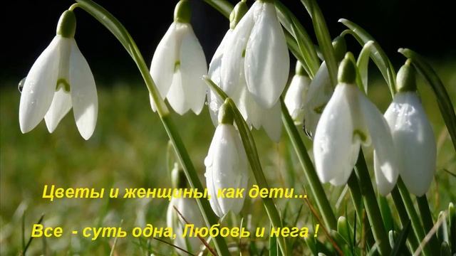 С праздником Днём 8 Марта смотреть онлайн