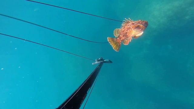 bella cattura dritto in sagola смотреть онлайн