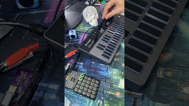 Dawless Synth Jam with PO-12 & Donner B1 (303 clone) смотреть онлайн