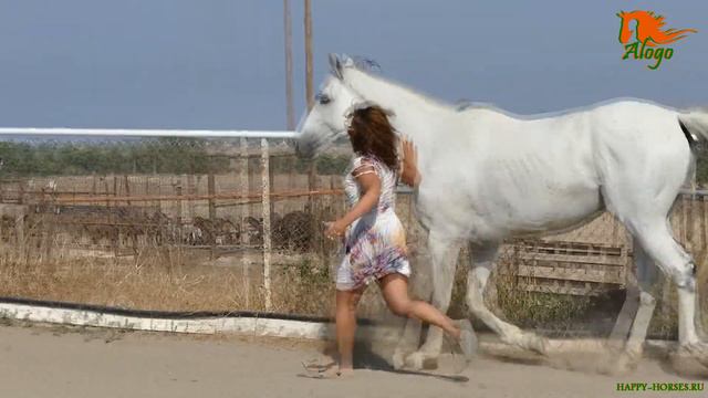 Июньский семинар "В Гармонии с лошадью", это было прекрасно! смотреть онлайн