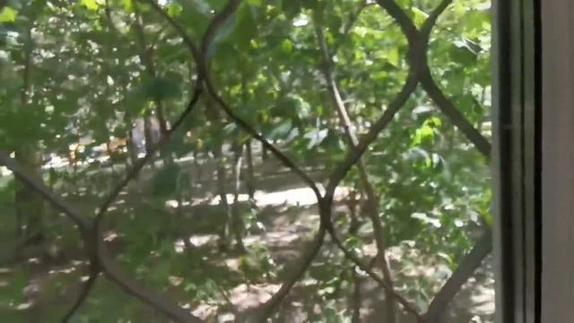 г. Москва ул. Шоссейная 51 студия 15 метров с ремонтом смотреть онлайн