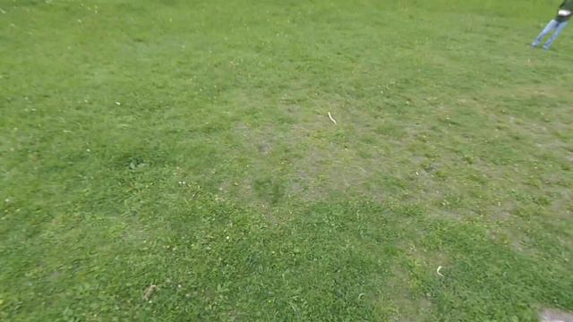 Hexrotor and French Dog смотреть онлайн