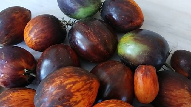 Гаргамель - нарядный, плодовитый томатик! смотреть онлайн
