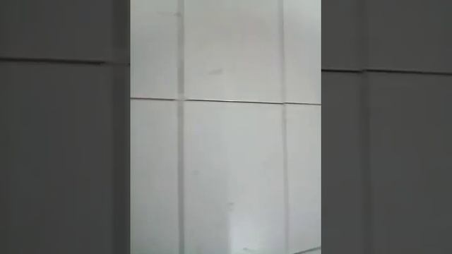 Жоппа с двумя П,или очько с мягким знаком !!; смотреть онлайн
