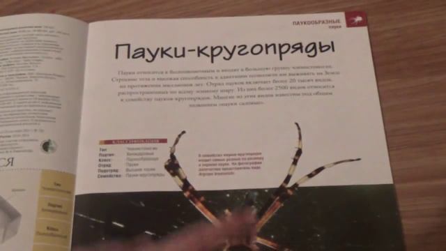 Насекомые и их знакомые #2 паук-крестовик смотреть онлайн
