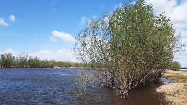 Весна на р.Обь. смотреть онлайн
