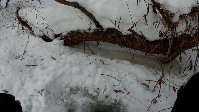 Монстр из глубины! 0_0 Случай на рыбалке. смотреть онлайн