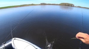 ЛОВЛЯ ЩУКИ НА БЛЕСНУ. РЫБАЛКА НА ЩУКУ. БЛЕСНА НА ЩУКУ #2