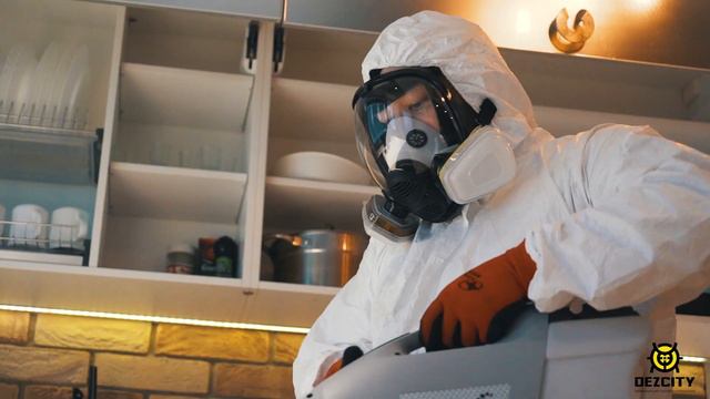 Artistic Inspiration