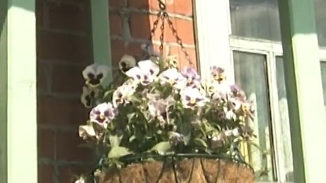 Сад непрерывного цветения: с весны до осени на дачном участке красота смотреть онлайн