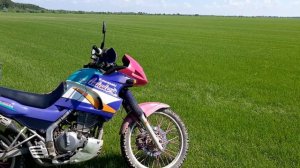 Мультитул в мире мотоциклов Kawasaki KLE 250 Anhelo