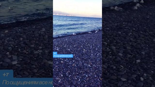 #чайки #зима #январь #холодает смотреть онлайн