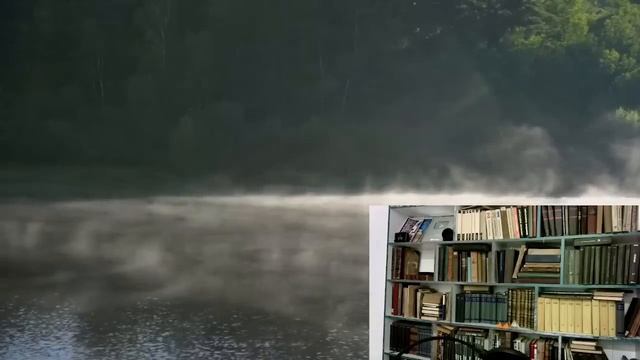 Настоящая Мощная Матрица ЖКТ и Мочеполовой Системы. смотреть онлайн