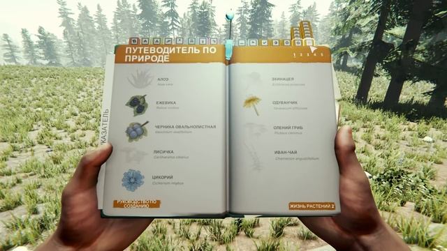 100 Дней Выживания в The Forest смотреть онлайн