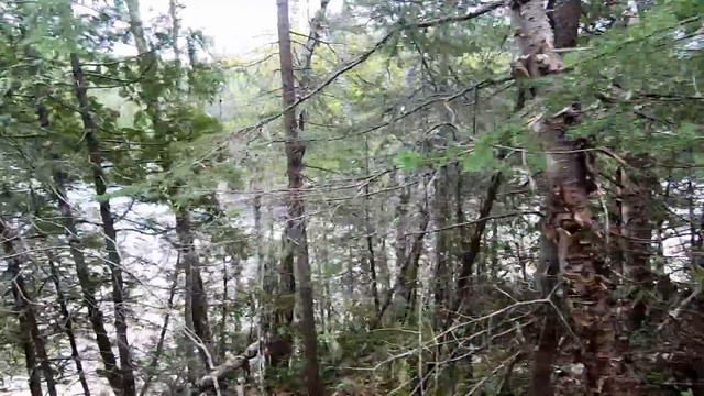 13-Day Wilderness Fishing Trip: Remote River to World's Biggest Lake смотреть онлайн