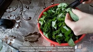 делаю сок из листьев лопуха