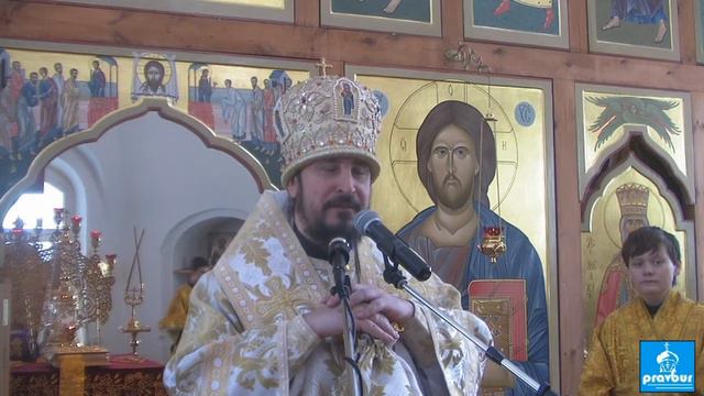 Проповедь архиепископа Савватиия по окончании Божественной Литургии в Неделю сыропустную Воспомин смотреть онлайн