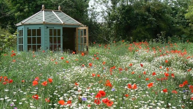 Что такое мавританский газон и как его создать смотреть онлайн