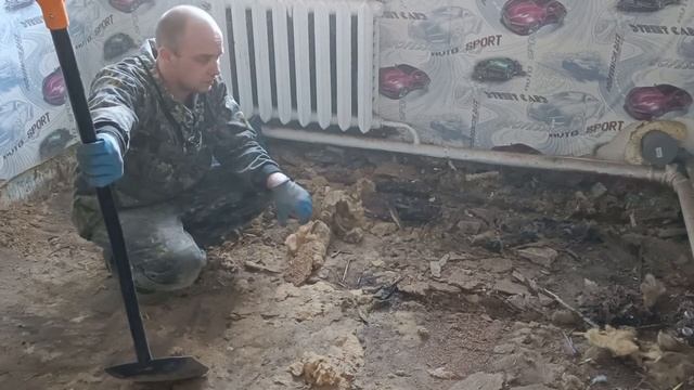 Продолжаю дела по дому. ДНС как всегда косячит. Августовка - мой дом. смотреть онлайн