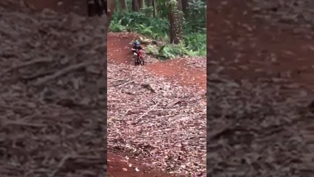 Critter Round 3 Makawao