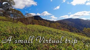 Прогулка по  лесу в горы и красивая музыка для отдыха и снятия стресса / Виртуальная прогулка