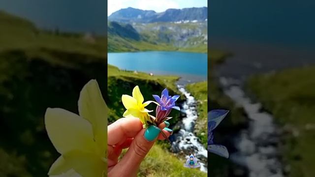 Как мне эта природа нравится... Говорить даже ничего не могу... смотреть онлайн