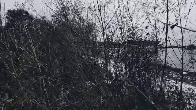 VID 20231029 154903 Прощание (Федерико Гарсиа Лорка)...Павел Васильев Лахтинский смотреть онлайн