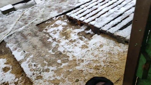 Бррррр???? смотреть онлайн
