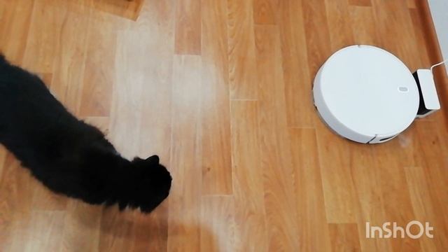 Купили робот пылесос! Xiaomi mi Robot Vacuum-Mop Essential G1 смотреть онлайн