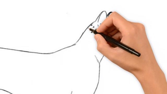 How To Draw A Cheetah, Draw Animals