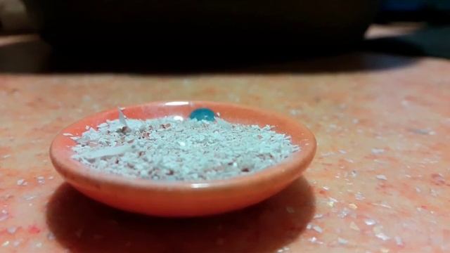 ♫ Улитки Ахатины : Чем кормить улиточек зимой? + Другие советы ♫ |Alis Red| смотреть онлайн