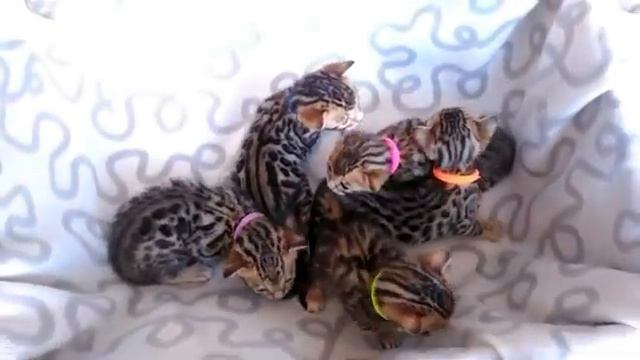 Самые лучшие антидепрессанты