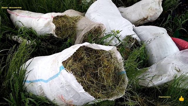 Находки на Свалке, и сдал на металлолом Раму от Техники. смотреть онлайн