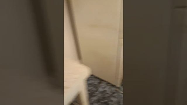 Белка Дегу по имени Ученичек ест тыкву смотреть онлайн
