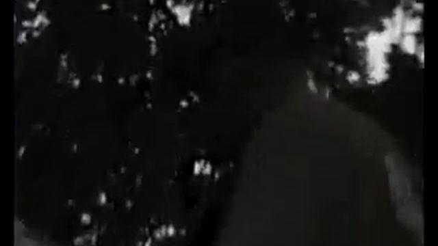 Одно Целое Интро смотреть онлайн