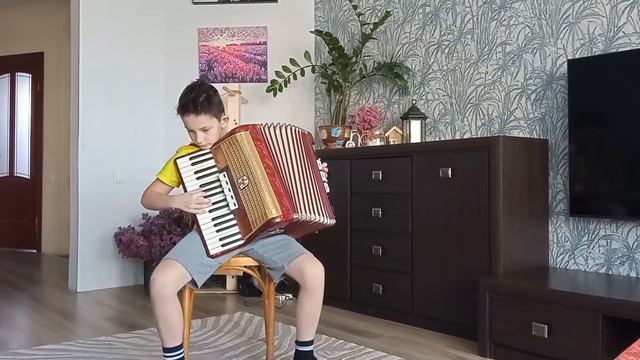весёлые каникулы на аккордеоне смотреть онлайн