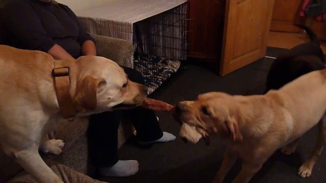 лабры смотреть онлайн