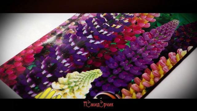 Семена Люпин - Помидорчик смотреть онлайн