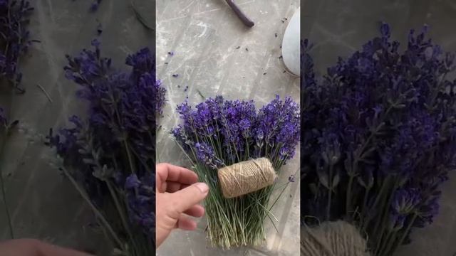 Делаем лавандовый букет #лаванда смотреть онлайн